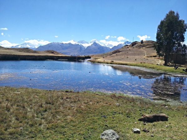 c1800c8e-205e-4f2a-a42c-58ed52ec12d2_zps1791aabc